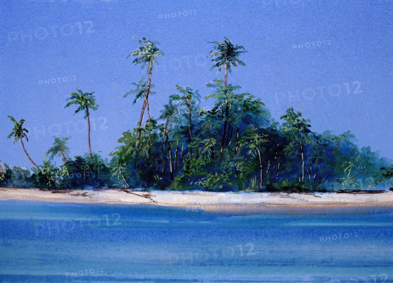 Painted canvas tarp. Desert island