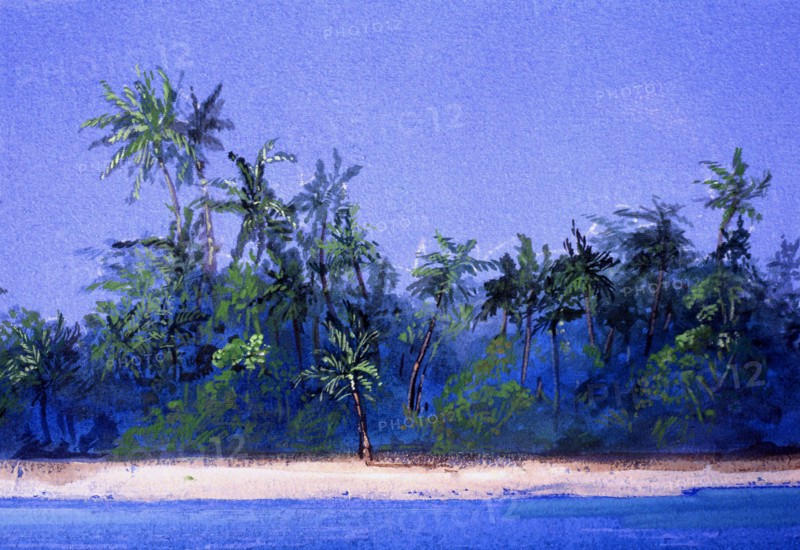 Painted canvas tarp. Desert island
