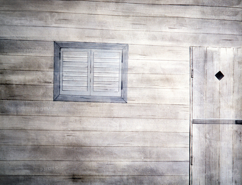 Fresco. Painted canvas tarp with trompe l'oeil effects