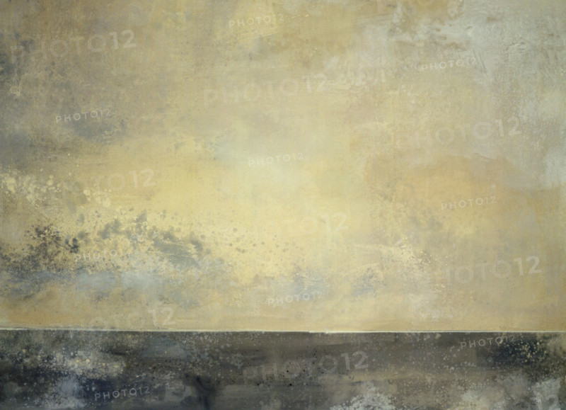 Fresco. Painted canvas tarp with trompe l'oeil effects