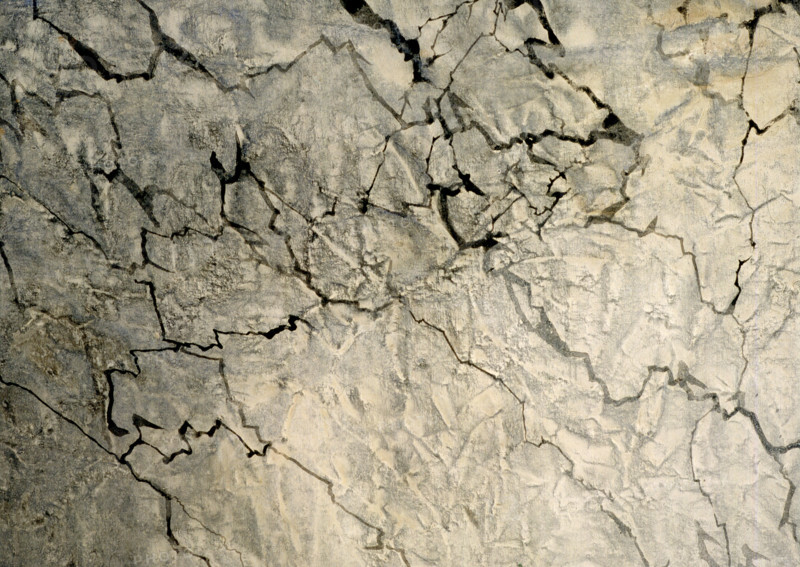 Fresco. Painted canvas tarp with trompe l'oeil effects