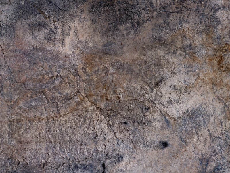 Fresco. Painted canvas tarp with trompe l'oeil effects