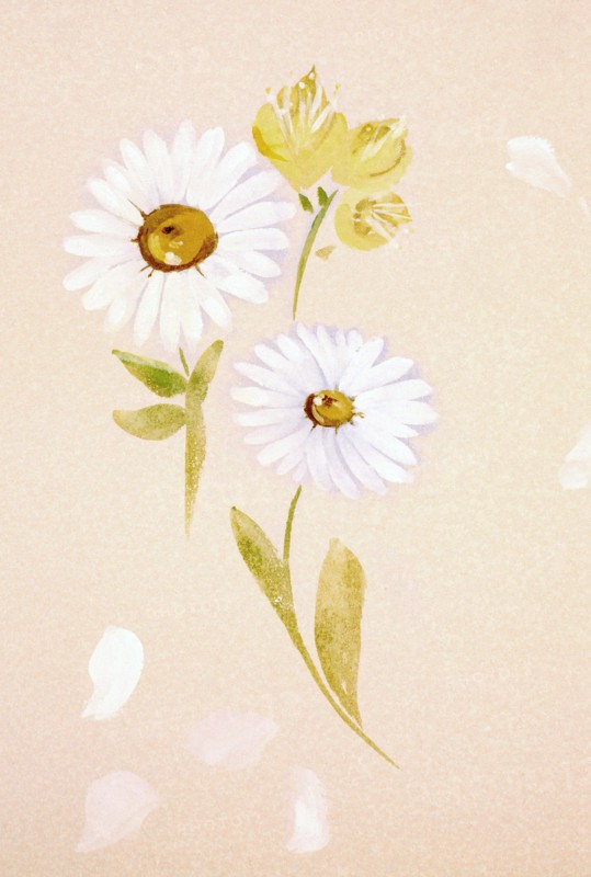 Flowers. Painted canvas tarp