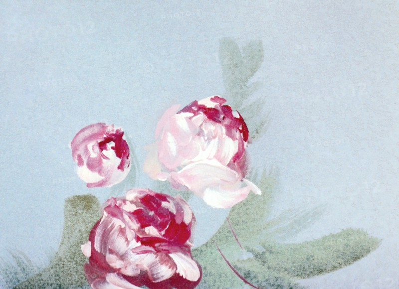Flowers. Painted canvas tarp