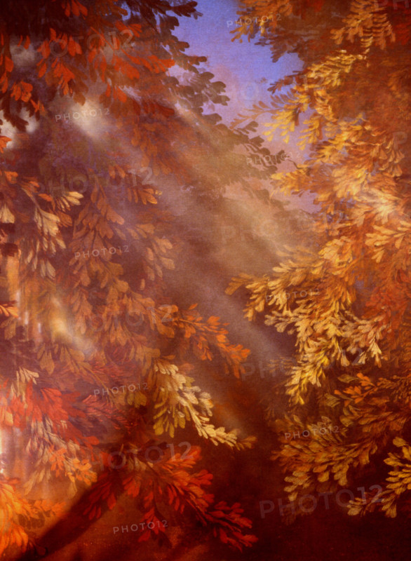 Bâche peinte. Feuillage d'automne