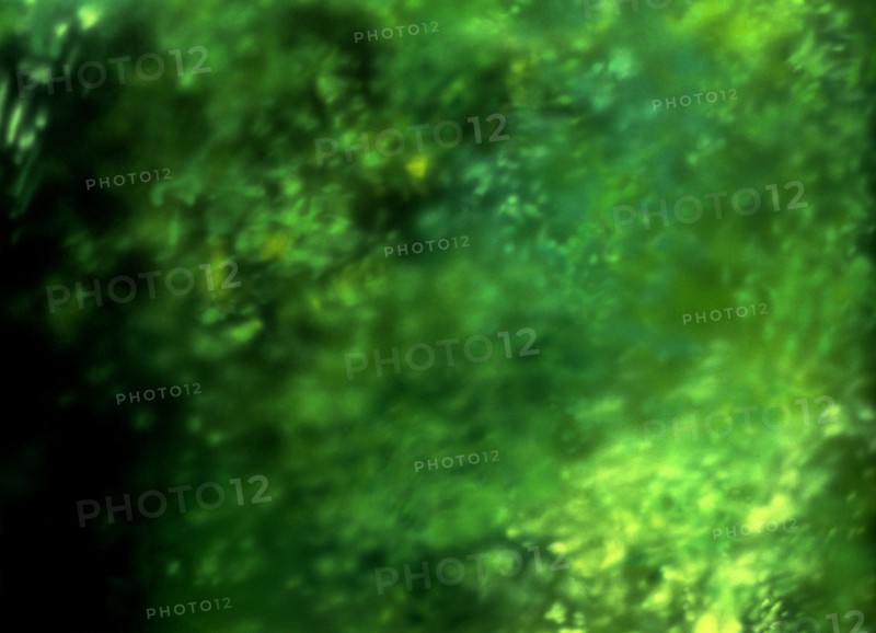 Painted canvas tarp. Vegetation