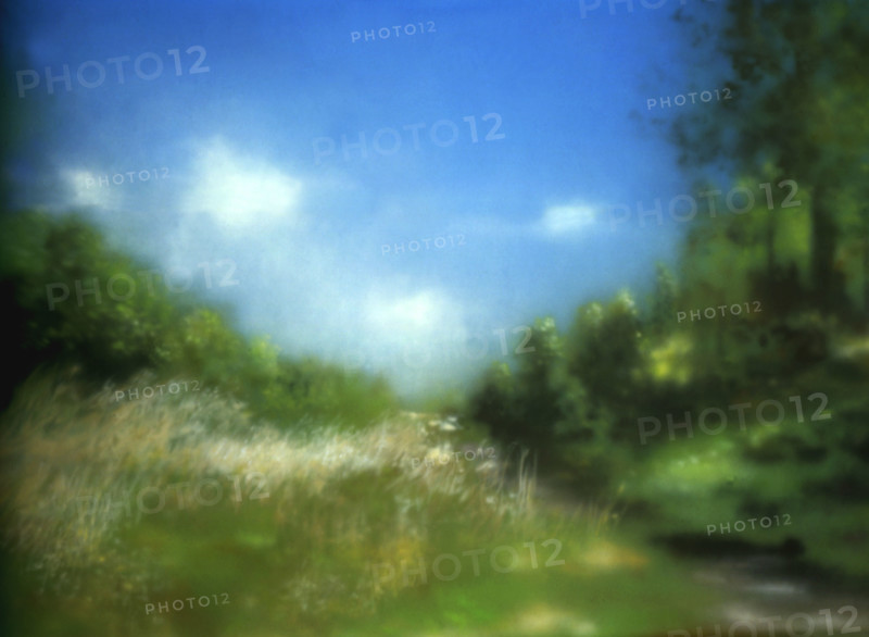 Painted canvas tarp. Rural landscape