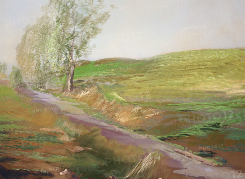 Painted canvas tarp. Rural landscape