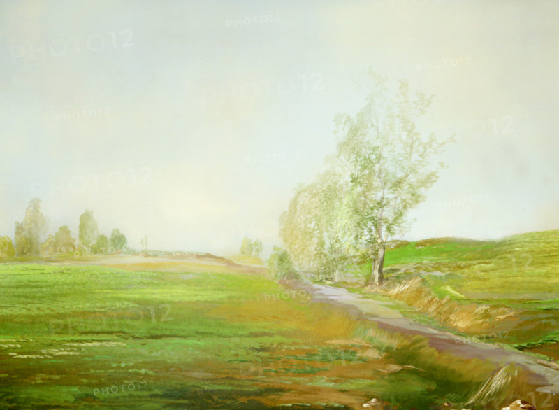 Painted canvas tarp. Rural landscape