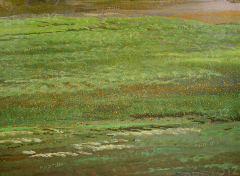 Painted canvas tarp. Rural landscape