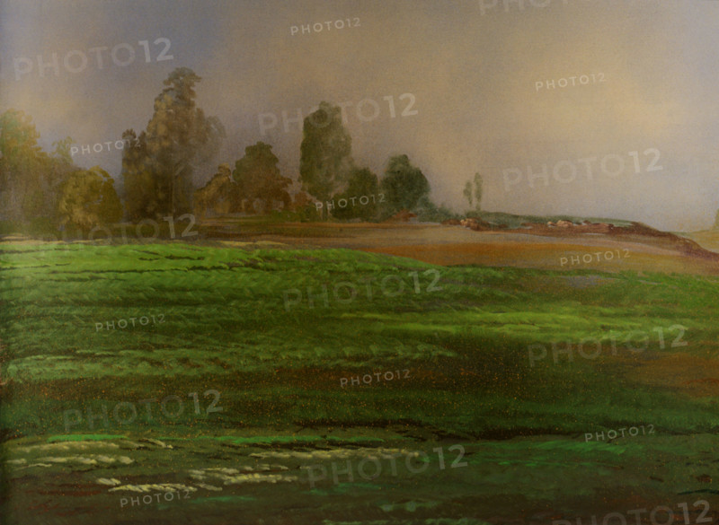 Painted canvas tarp. Rural landscape