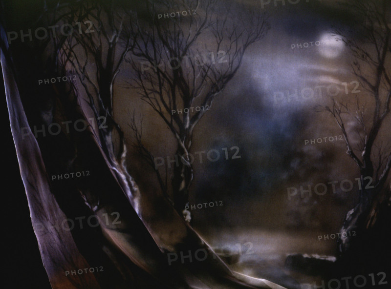 Painted canvas tarp. Night landscape