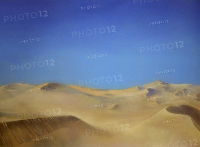 Painted canvas tarp. Desert landscape