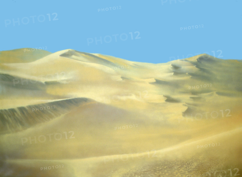 Painted canvas tarp. Desert landscape