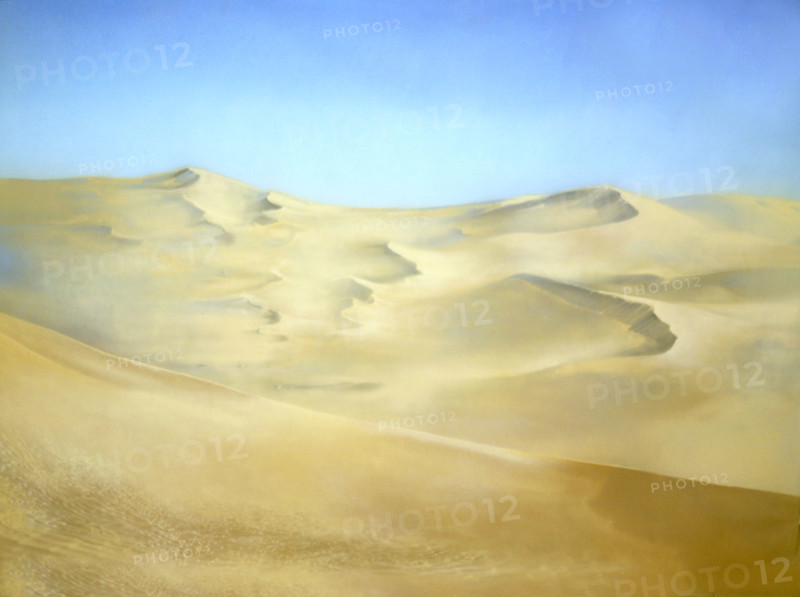 Painted canvas tarp. Desert landscape