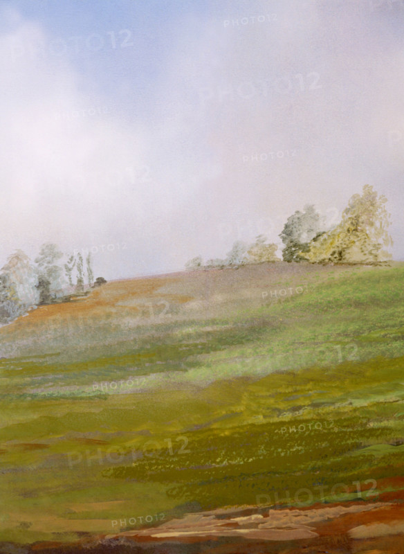 Painted canvas tarp. Landscape