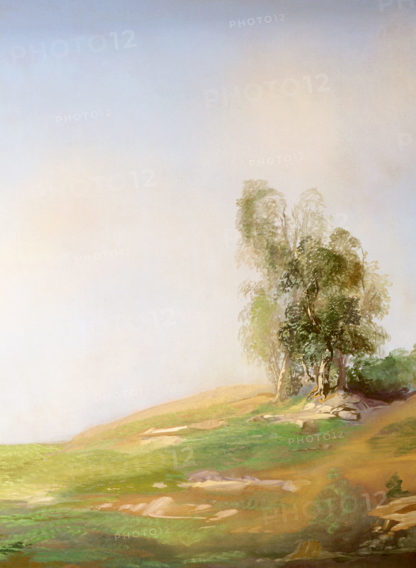 Painted canvas tarp. Landscape