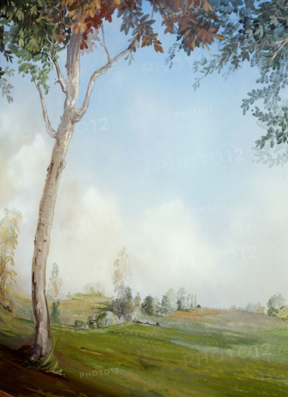 Painted canvas tarp. Landscape