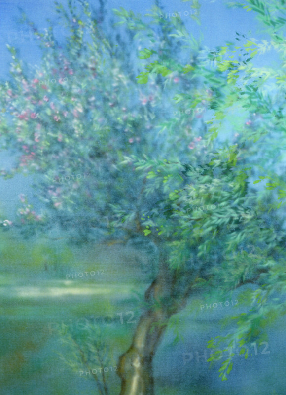 Painted canvas tarp. Landscape