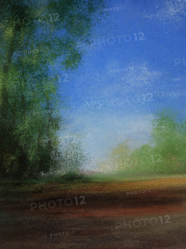 Painted canvas tarp. Landscape