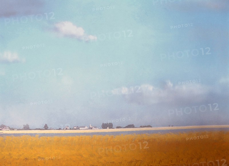 Painted canvas tarp. Landscape