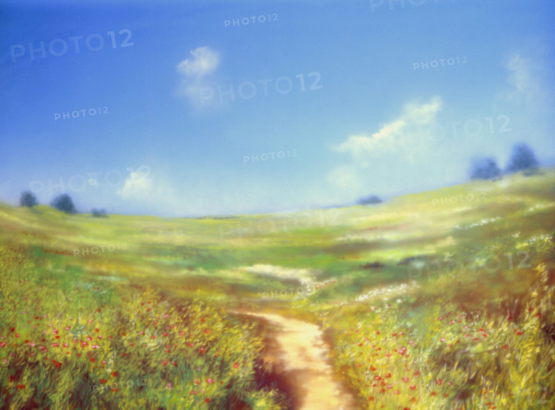 Painted canvas tarp. Landscape
