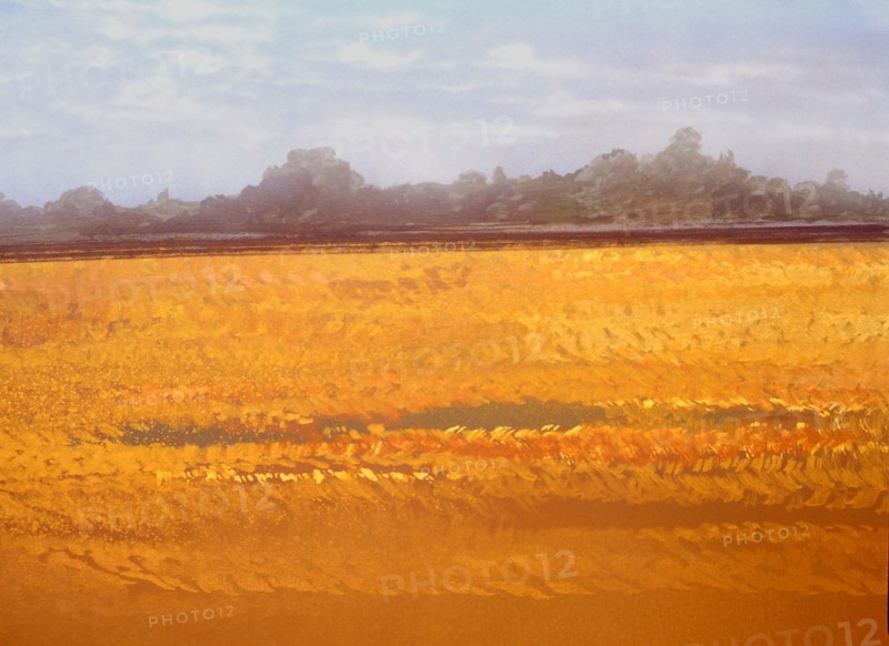 Painted canvas tarp. Landscape