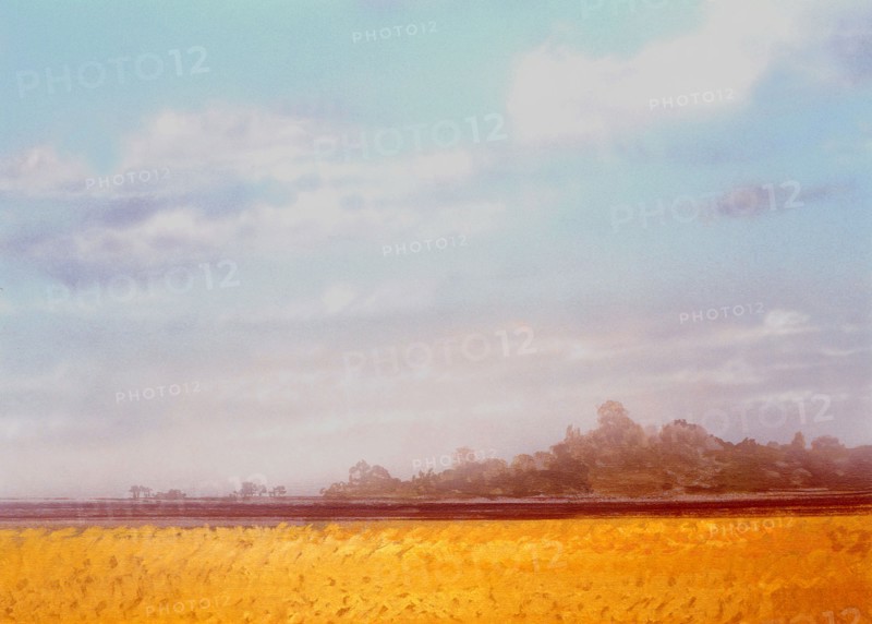 Bâche peinte. Paysage