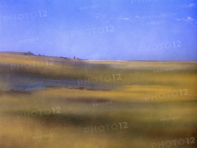 Painted canvas tarp. Landscape