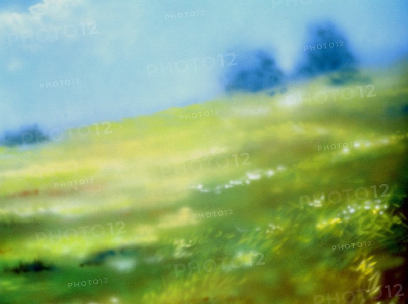Bâche peinte. Paysage