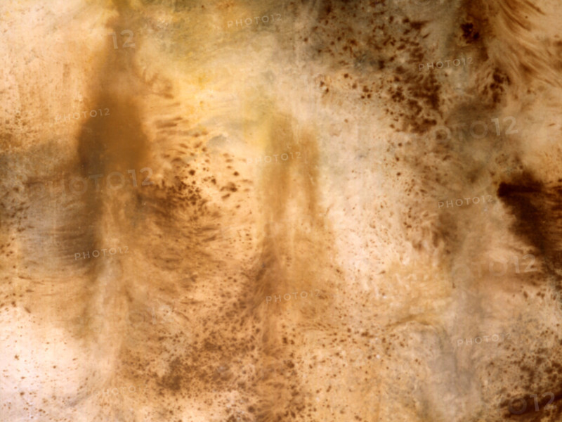 Matter effects. Painted canvas tarp