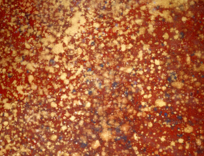 Matter effects. Painted canvas tarp