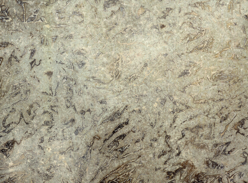 Matter effects. Painted canvas tarp