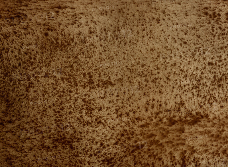 Matter effects. Painted canvas tarp