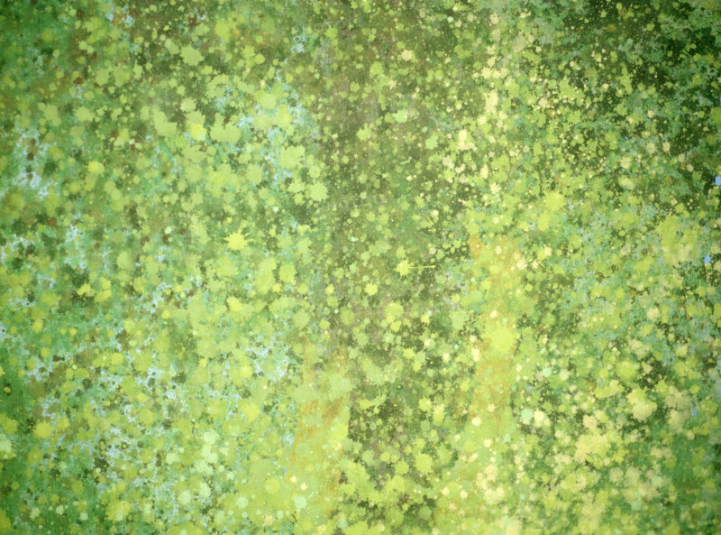 Matter effects. Painted canvas tarp
