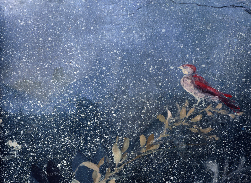 Painted backdrop with foliage and birds