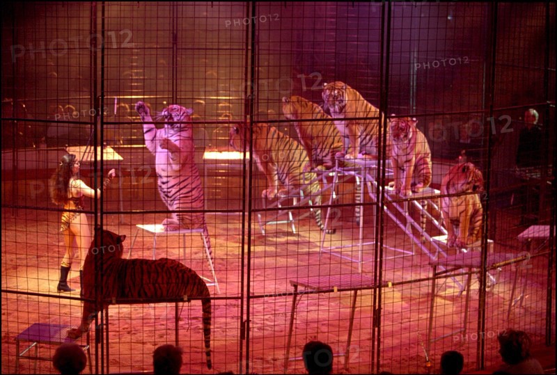 02/00/2001. Virginie Tessier the youngest wild beast tamer in the world.