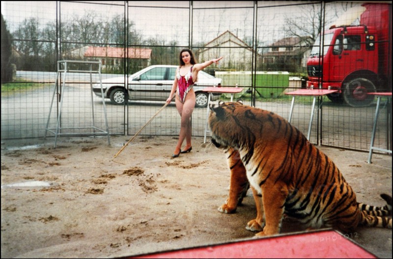 02/00/2001. Virginie Tessier the youngest wild beast tamer in the world.