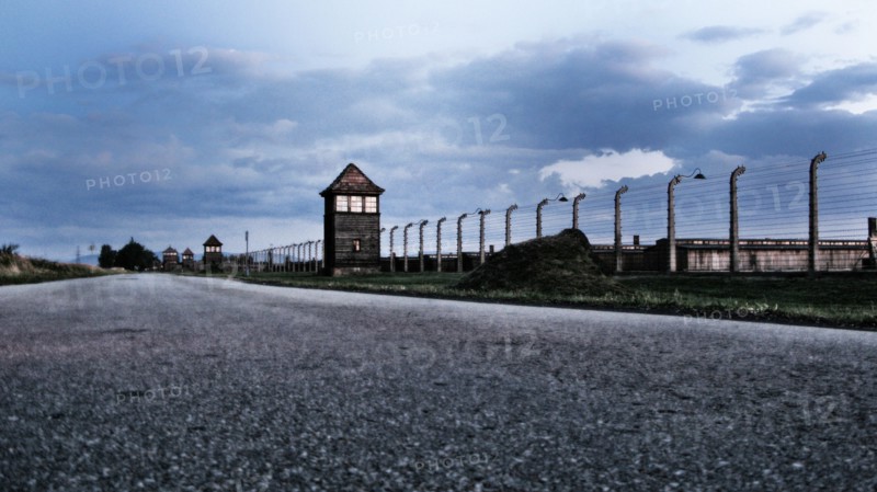 Camp d'Auschwitz-Birkenau