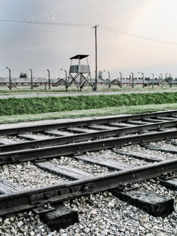 Camp d'Auschwitz-Birkenau