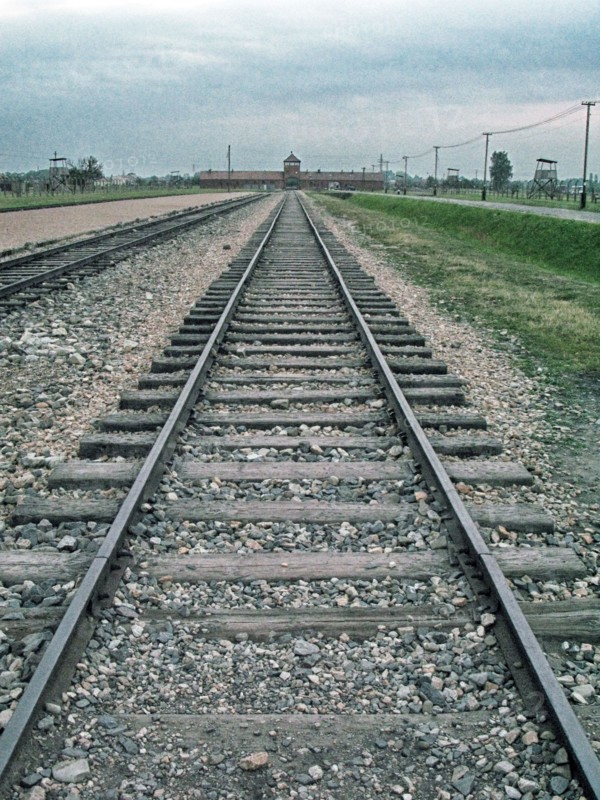 Camp d'Auschwitz-Birkenau