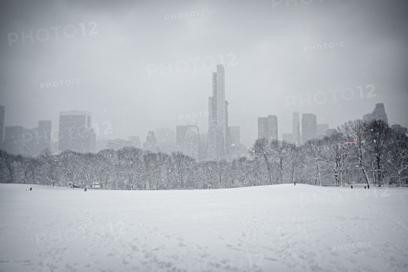 Central Park en hiver, New York