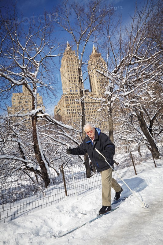 Central Park en hiver, New York