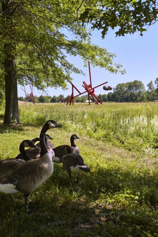 Le Storm King Art Center