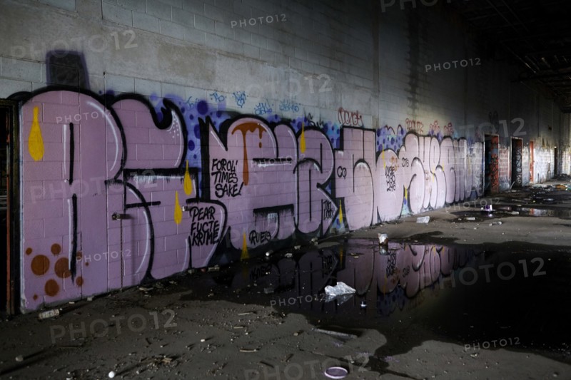 The city of Detroit