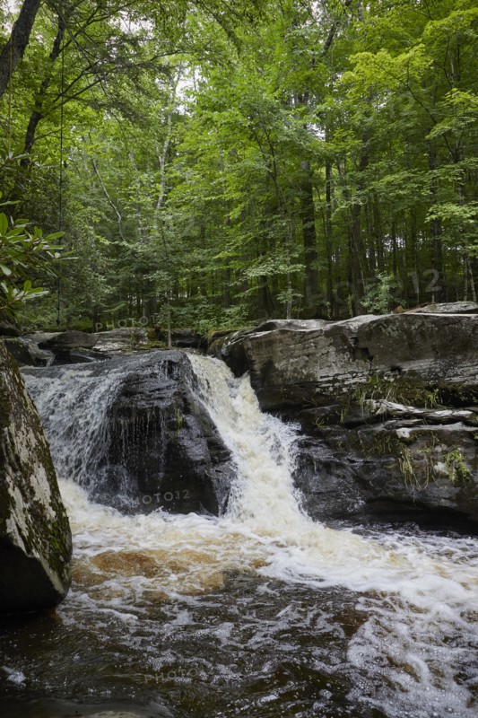 Chez Amibka Conroy dans les montagnes Catskills, 2018