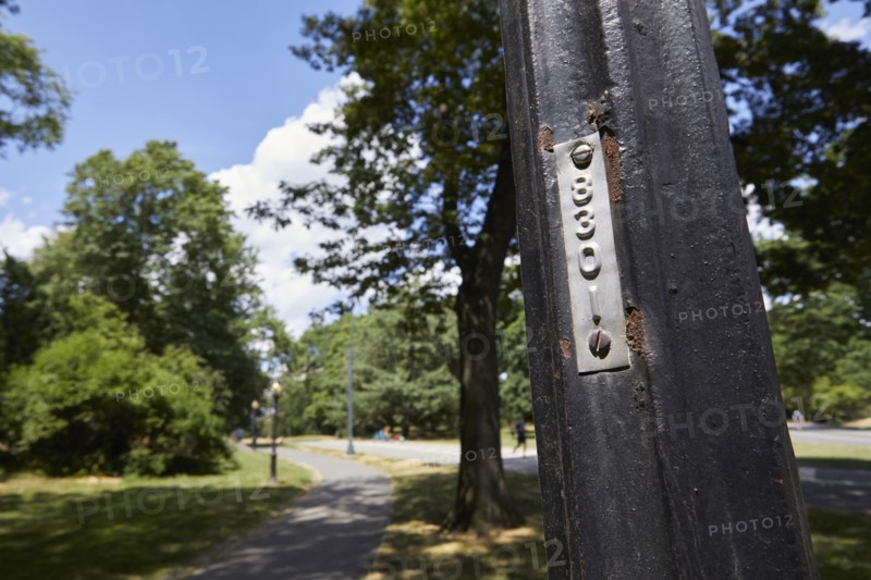 Reportage : le secret des lampadaires de Central Park
