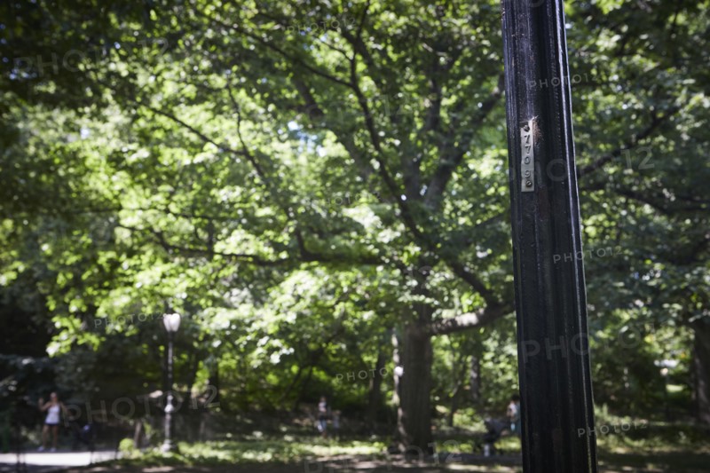Reportage : le secret des lampadaires de Central Park