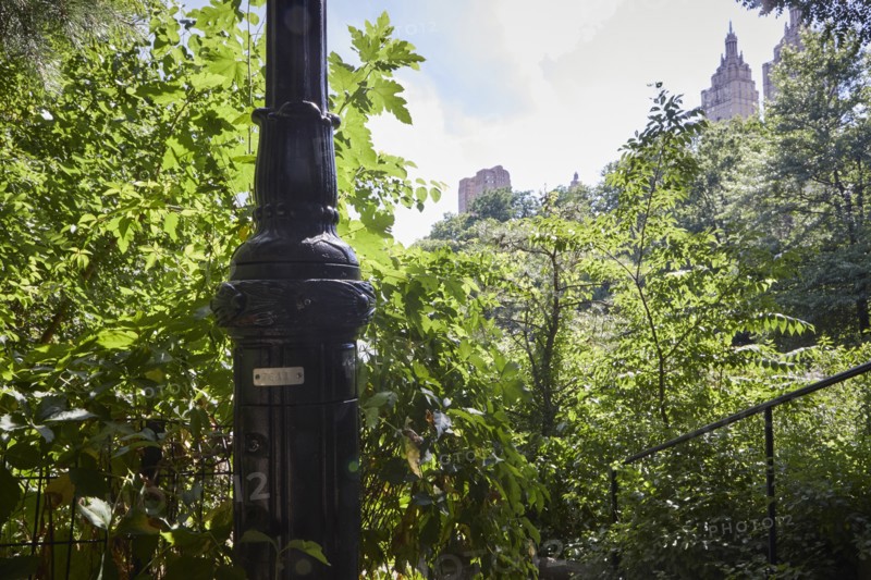 Feature: the mysterious numbers on Central Park street lamps