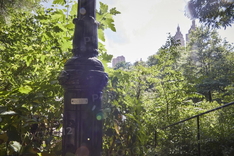 Feature: the mysterious numbers on Central Park street lamps